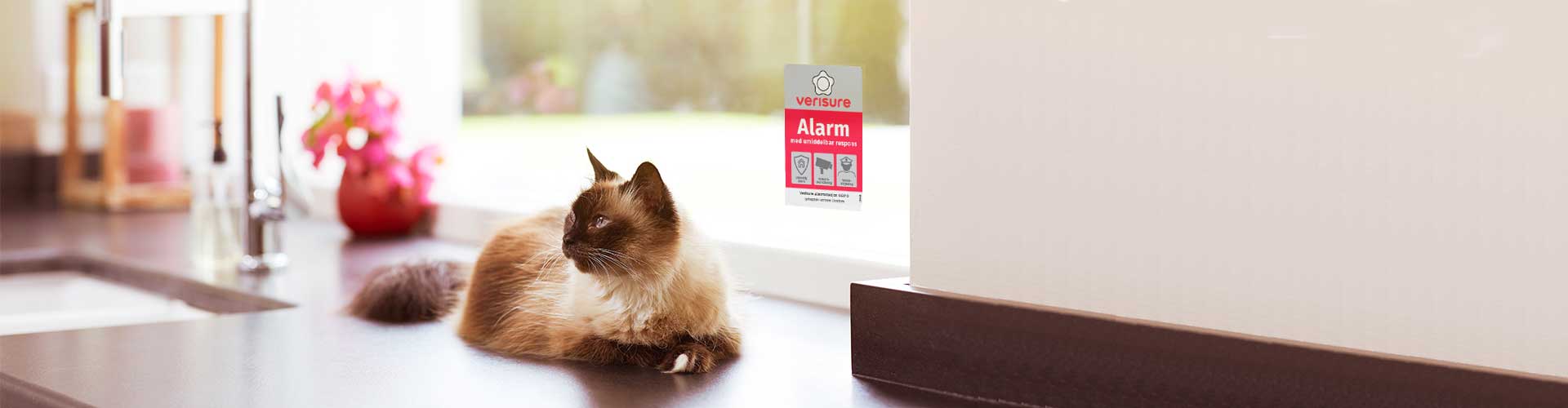 Katt i vindu sammen med dyrevennlig alarm