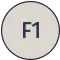 F1 F1
