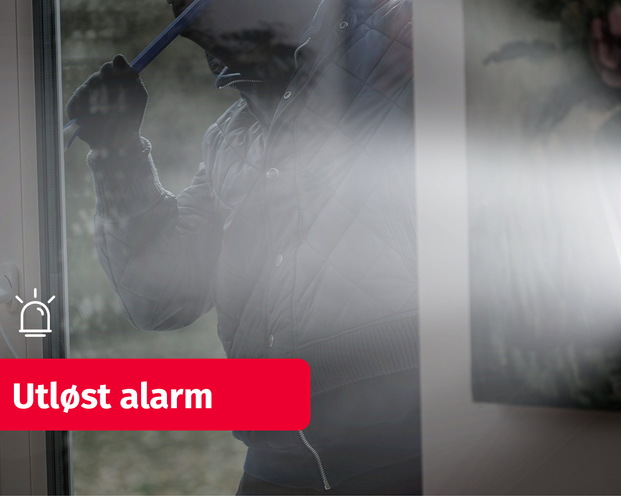 Works With Verisure Utløst Alarm