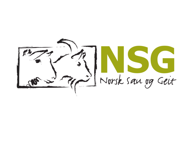 NSG logo