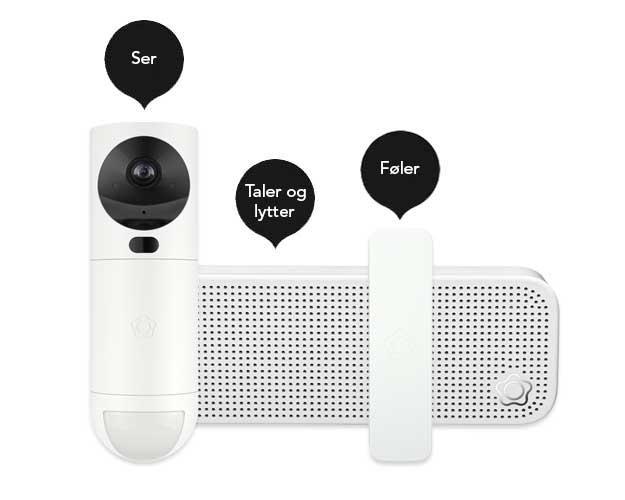 Alarmsystem som kan se, tale og føle